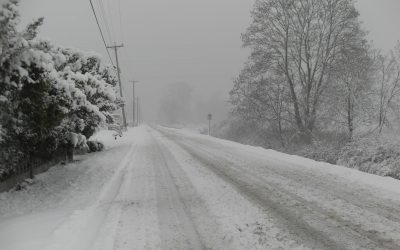 Cómo conducir con nieve: consejos para llegar seguro